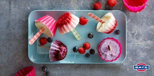 Frozen yoghurt pops