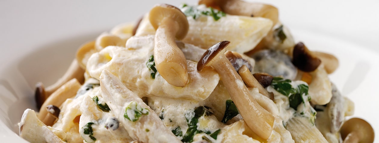 Penne with Wild Mushrooms